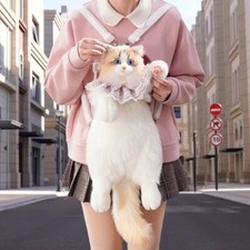 Süßer plüsch katzen - süßer,
