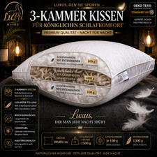 3-Kammer Kissen 80x80 90%