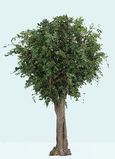 artplants Kunstbaum Ficus