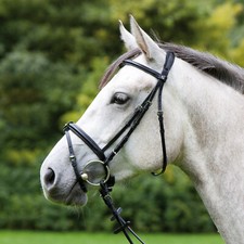Kieffer Trensenzaum schmal