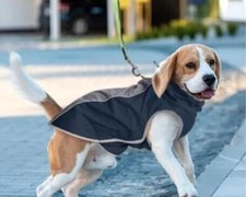 ⭐  Hundemantel TOP