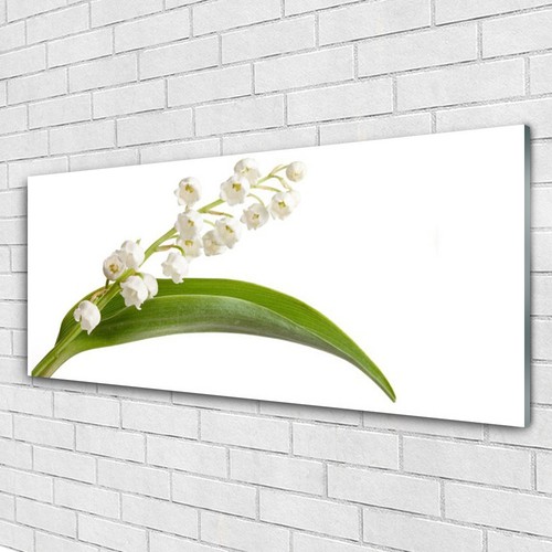Glasbilder wandbild druck auf - glasbilder,
