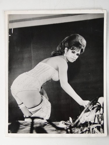 Raquel welch dessous - raquel, korsett