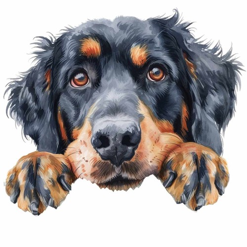 Designer aufkleber sticker - designer, /