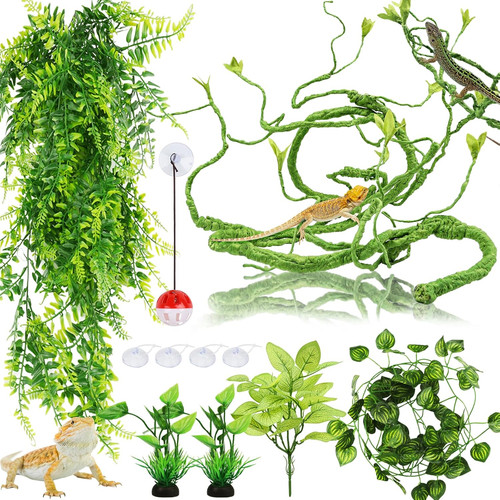 Hängepflanze terrarium - hängepflanze,