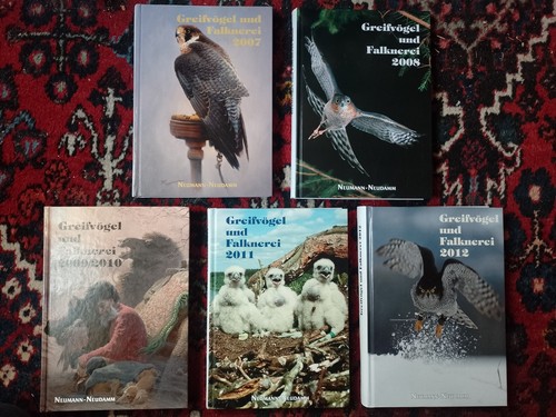 Greifvögel und falknerei - greifvögel,
