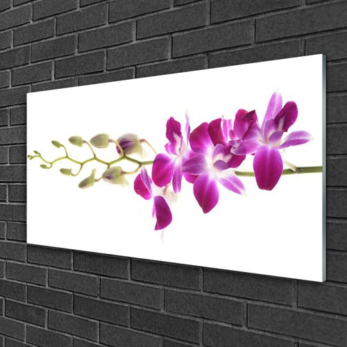 Glasbilder 100x50 wandbild - glasbilder,