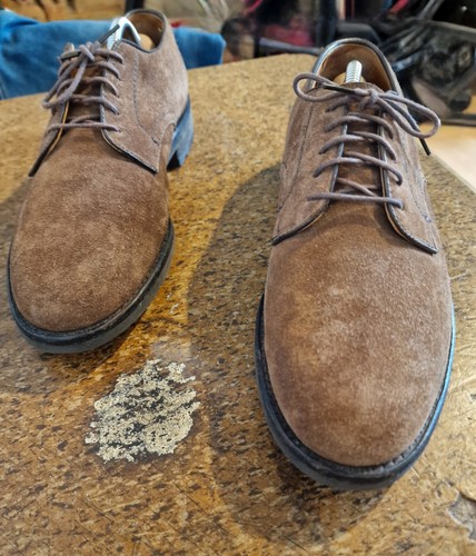 Alden suede plain toe dover - alden,