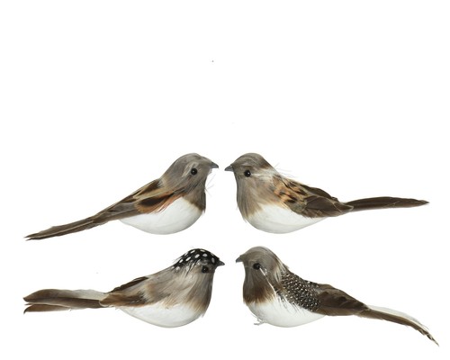 Vögel mit federn - 2, auf
