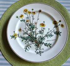 V&B BOTANICA  Speiseteller