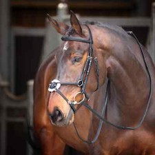 Shires 5004 velociti gara - velociti,