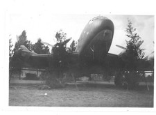 Originalfoto:  unbekannt Junkers Ju 90 spärlich mit Sträucher getarnt