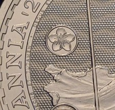 2026 Sakura Cherry Blossom