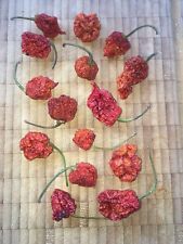 Carolina Reaper 10 Gramm ganze getrocknete Chili , schärfste Chili der Welt HOT