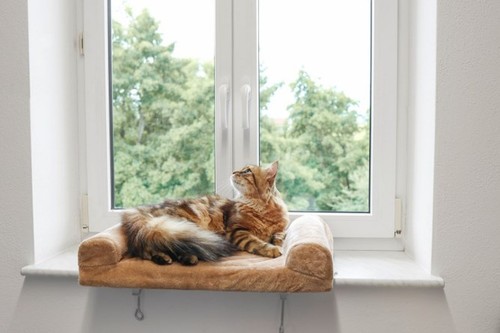Fensterliegebrett für
