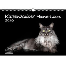 Katzenzauber Maine-Coon DIN A3