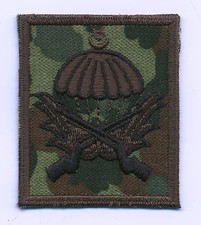 Fallschirmspringerabzeichen,T?