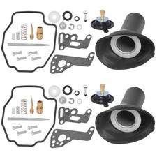 Vergaser-Reparatursatz mit