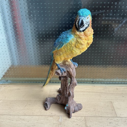 Papagei auf stamm bunt cm - auf,