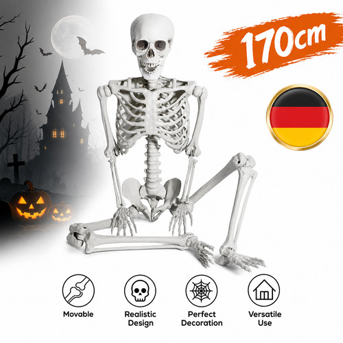 Anatomie skelett halloween - skelett,