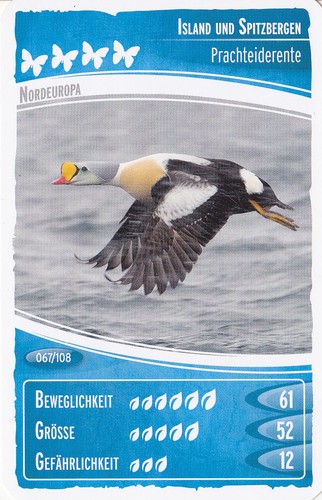 Netto ozeanien - ozeanien,