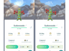 ✨Shiny Sudowoodo (Schillernd