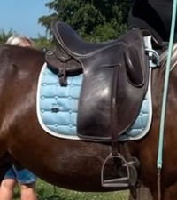 Wenig genutzter Signumsattel