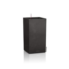 Lechuza canto stone high - canto,
