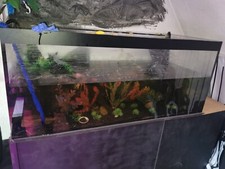 Aquarium 120x50x50, dicht