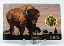 Bison - America's Big 5 -