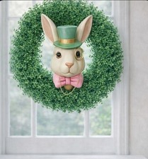 Kaninchen Hasen Kopf Weiß