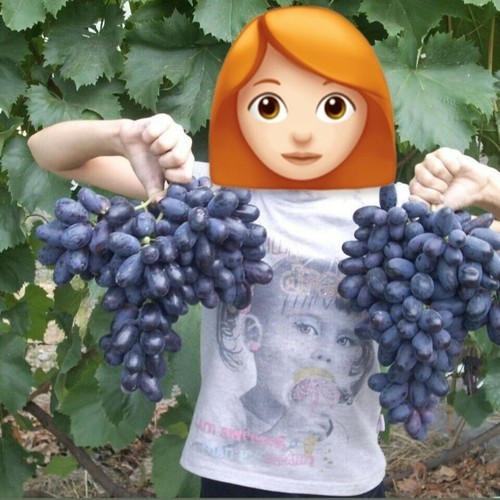 Kernlose pilzfeste weinrebe - ,