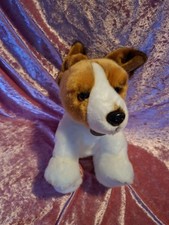 RAPPA Jack Russel Terrier Hund