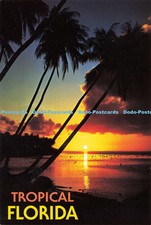 D141763 tropische florida - d141763,
