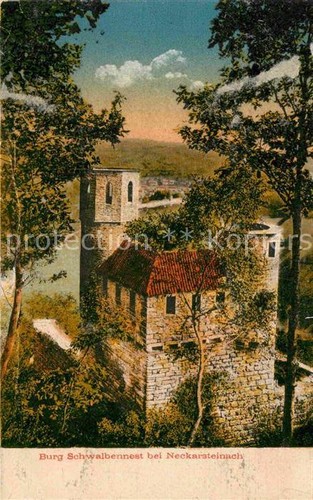 Neckarsteinach burg - neckarsteinach,
