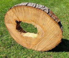 🌳 Baumscheibe von der