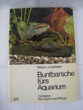 Buntbarsche fürs Aquarium -