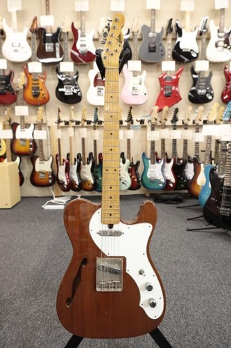 Aria telecaster thinline type - aria,