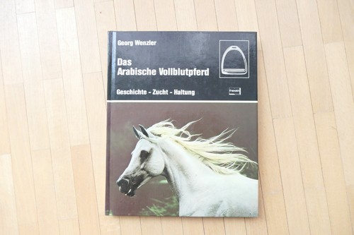 Das arabische vollblutpferd - arabische,