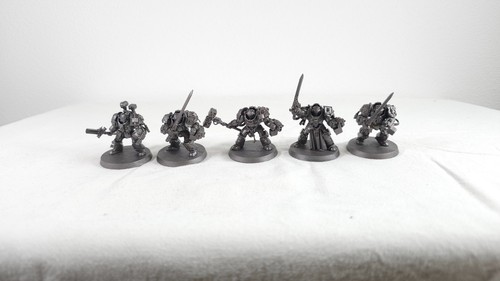Grey knights brotherhood - knights,