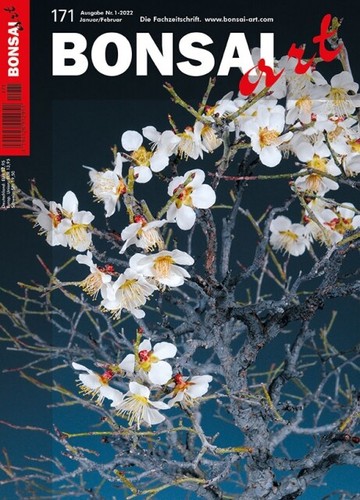 Bonsai art 171 januar - nr.,
