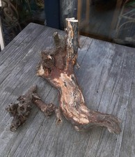 2 XL Treibholz Schwemmholz