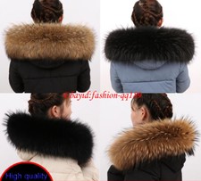 2025 Natur Waschbär Kragen