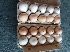 20 ausgeblasene Eier Hühnereier Ostereier weiss  und beige Deko