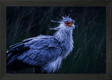 Gerahmtes Wandbild Poster