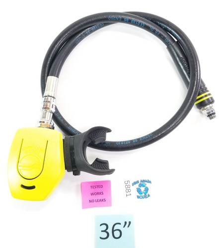 Sherwood minimus octo zweite - octo,