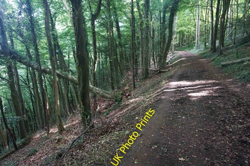 Foto 6x4 der cotswold - 6x4, way