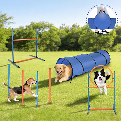 Agility set hunde teilig - hunde, 5-teilig