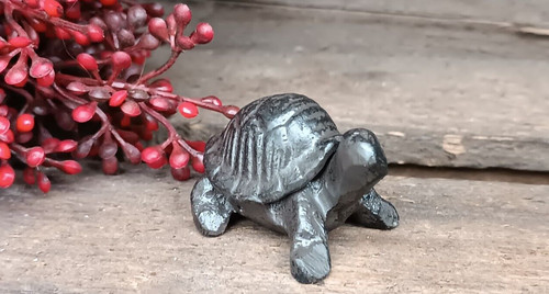 Mini schildkröte - mini,