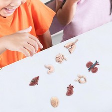 Menschliche Körperteile